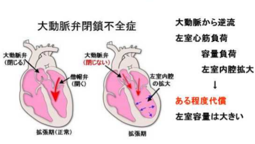 長期的には何が期待できるでしょうか?